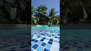 Family bday celeb at the pool & beach #shorts #fyp #iscp #makemefamous #familyvlog #beachvibe
