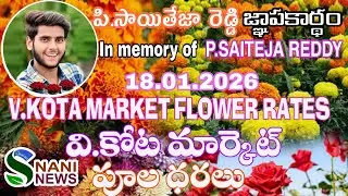 18.01.2026 ఈరోజు వి కోట మార్కెట్ పూలు ధరలు / Today V Kota market flower rates flower prices