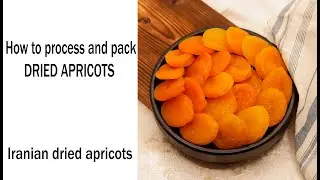 How to process and pack DRIED APRICOTS