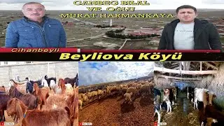 BEYLİOVA - CANBEG BİLAL VE OĞLU MURAT HARMANKAYA BİZİ KABUL ETTİLER