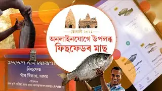 Online fish sale by FISHFED | Bhogali Bihu