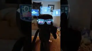 you're so fried I just got hacks -enderman