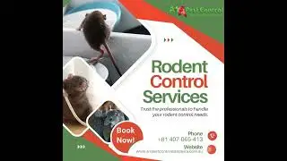 Rodent Pest Control Services In Canberra with A1 Pest Control Canberra