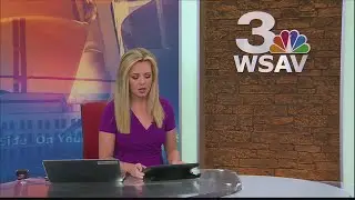 Sheriff: Body found may be that of missing Georgia teacher