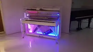 Edelweiss - Stunning Custom Edelweiss Self-Playing Upright Piano
