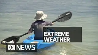 Record-breaking heat sweeps across Tasmania as emergency bushfires burn | ABC News