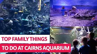 Explore the Cairns Aquarium