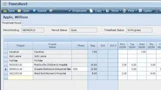 Deltek Vision Financial and Project Accounting