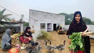 Unseen Women Village Life Pakistan in Winter Fog | Old Culture | Village Food | Punjab Culture&rdquo;
