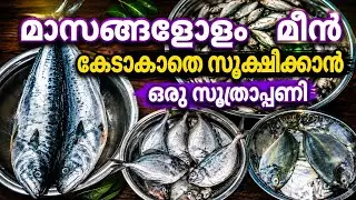 മീൻ മാസങ്ങളോളം ഫ്രെഷായി സൂക്ഷിക്കാം. How to Store Fish in Freezer
