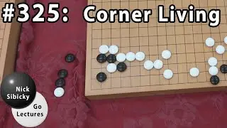 Nick Sibicky Go Lecture #325 - Corner Living