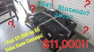 🇺🇸 I Paid $11,000 for a Pallet Of 65 Video Game Consoles!