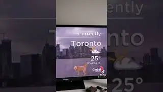 Weather Reporter's Hungry Dog Interrupts Live Weather Report
