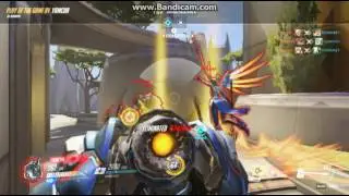 Reinharot potg