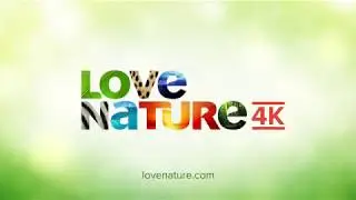 Love Nature 4K Demo