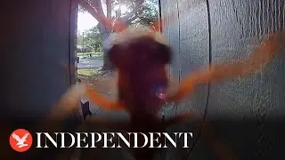 Bizarre moment wasp 'rings' doorbell camera