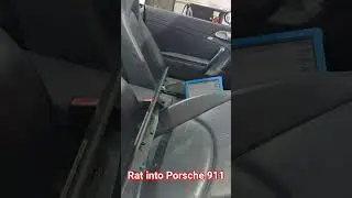 Porsche 911 Side airbag warning diagnosis, rat broken into 997 Porsche 911 Carrera #porschecarrera