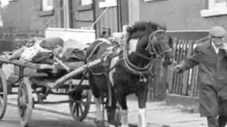 Netherfield