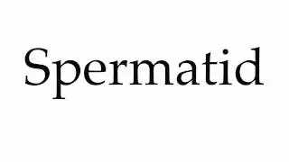 How to Pronounce Spermatid
