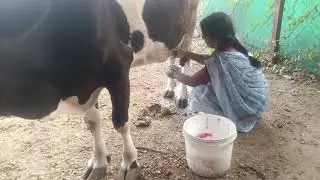 @रानात काय चाललंय ते बघा###