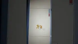 scratch program