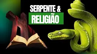 A serpente é do mal? #serpente #historia #cobra 