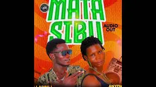 Mata Sibu - Anyadwe Kiki ft DollarBill (Offical Audio) 2025 