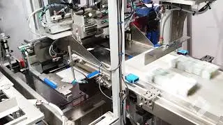 Case Packer for Butter Packs (220 ppm into wrap-around cartons)
