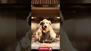 Title: Chef Bark: Pancake Pandemonium🥞🐾 | The Funniest Dog Cooking Show on the Internet.#ai #shorts