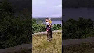 my video collection