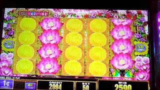 rainbow cash