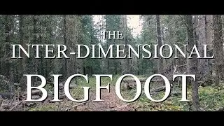 THE INTER-DIMENSIONAL BIGFOOT THEORY - Mountain Beast Mysteries Episode 16.
