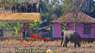 40 km/h Rule Doesn&rsquo;t Matter! Elephants Rule This Road 🐘😱