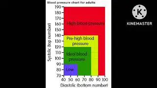 @mydoctorhealthyzonedrAnubhav #mbbs meditonic #bp charts for adult #
