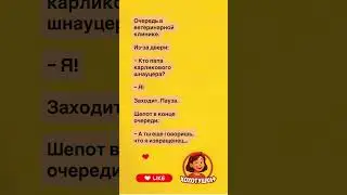 Очередь в ветеринарной клинике&hellip;😂