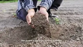 Welcome to West Coast Seeds
