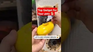 Cat's hair removal Gadgets #shorts  #viral #shortsfeed #hindi