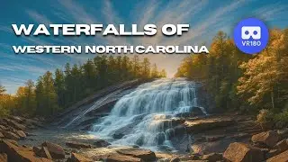 Waterfalls of Western North Carolina | 8K VR180 3D | DuPont & Pisgah National Forest