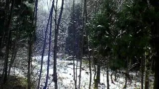 Liquid sunshine after snowfall