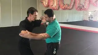 Henry Sue Circular Tong Long Kung Fu - Tai Chi Application