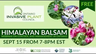 Himalayan Balsam: Control and Management in Ontario