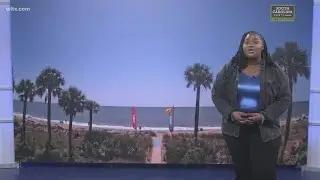 Rip Current awareness week in South Carolina