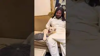 sahibzada waqar sultan bahu sultan jhang Punjab Pakistan