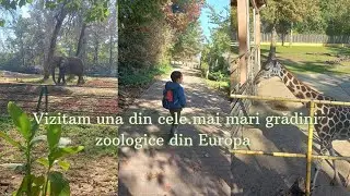 Vizitam una din cele mai mari grădini zoologice din Europa - Sòstò Zoo - Ungaria