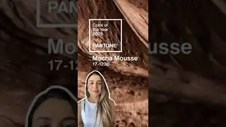 Cor do ano 2025 Pantone - Mocha Mousse. Qual o impacto dessa cor e que sensa&ccedil;&otilde;es ela transmite?