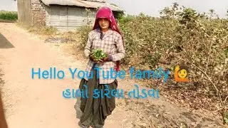 Hello YouTube family 🙋 હાલો કારેલા તોડવા