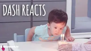 Dash Reacts - Xiaxue's Guide To Life: EP162
