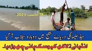 Head sulemanky River satluj flood|Latest flood news Border