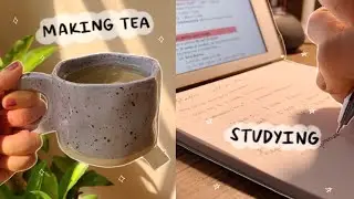 productive vlog: online internship, making ice cream, unboxing | ust medtech