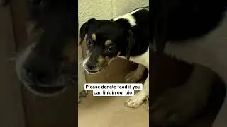 please donate food #NYC#LosAngeles#Chicago#Texas#Florida#california